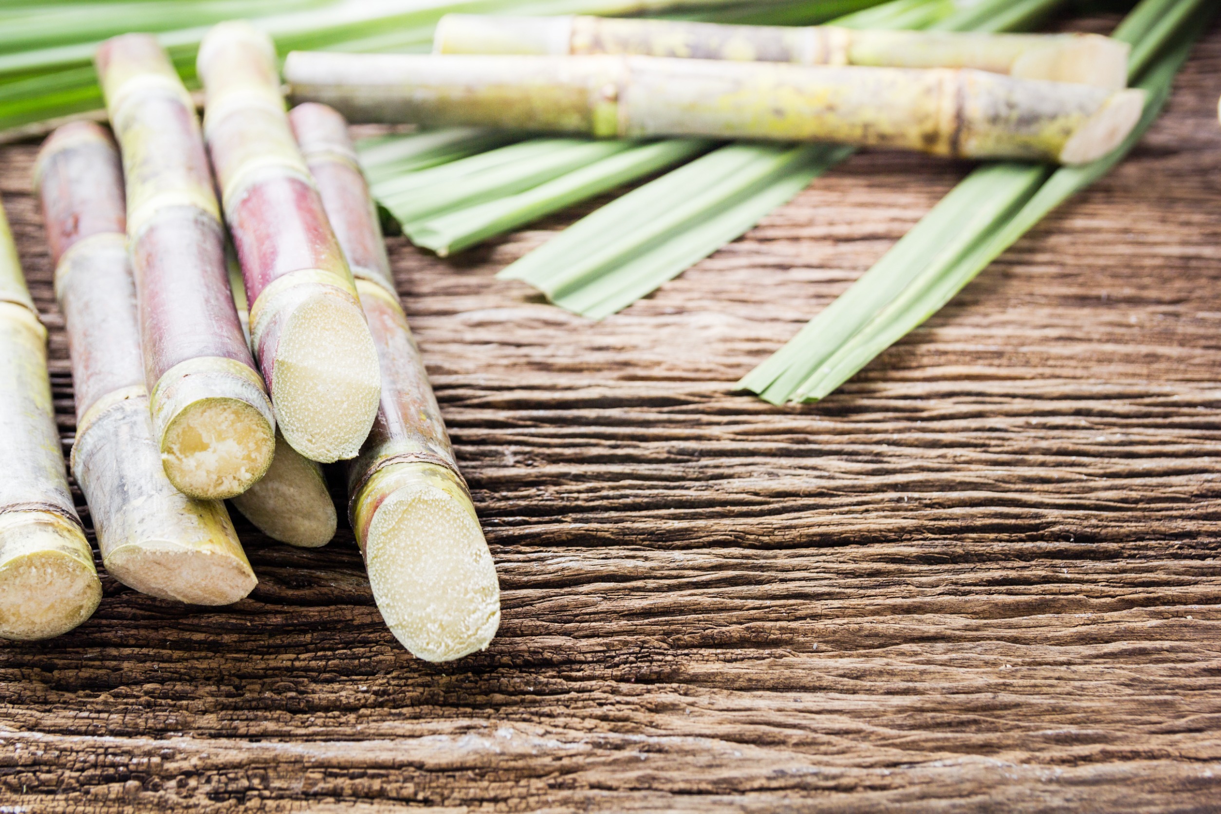 107286096_m_normal_none